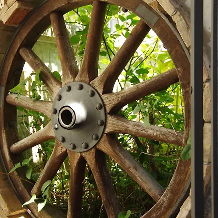 Bed & Breakfast Rosa