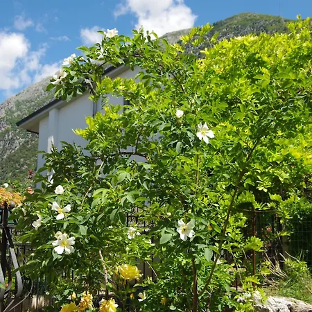 Rosa Bed & Breakfast *