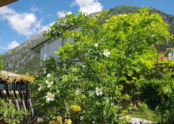 Rosa Bed & Breakfast *